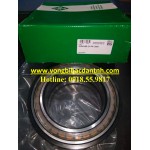 BẠC ĐẠN SL04 140-D-PP-2NR INA